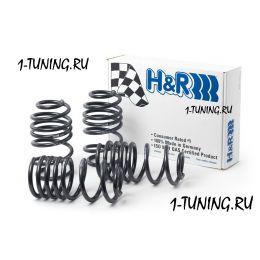 VW JETTA III (1K2) Комплект спортивных занижающих пружин H&amp;R